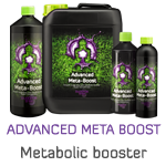 Advanced Meta Boost
